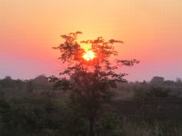 /album/fotogaleria/img-2856-jpg/